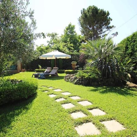 קאטאקולון Peter'S Country House מראה חיצוני תמונה